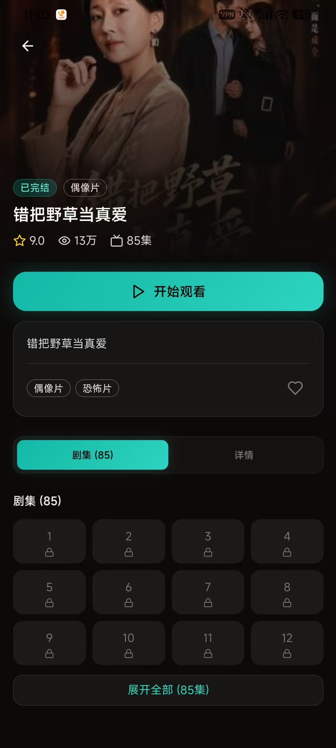 剧集详情